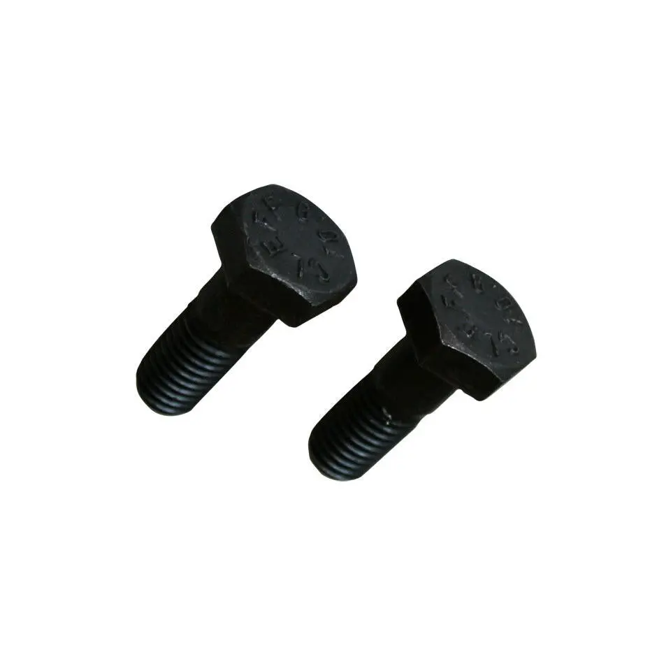 Brake Caliper Bolts, Beetle/Ghia/T3 1