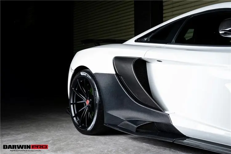 Darwinpro 2014-2017 Mclaren 650S Side Tuning Veins Intake Blades 1