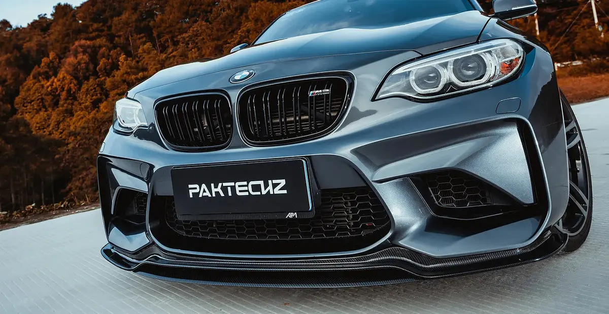 Paktechz Carbon Fiber Front Lip Spoiler For Bmw M2 F87 1