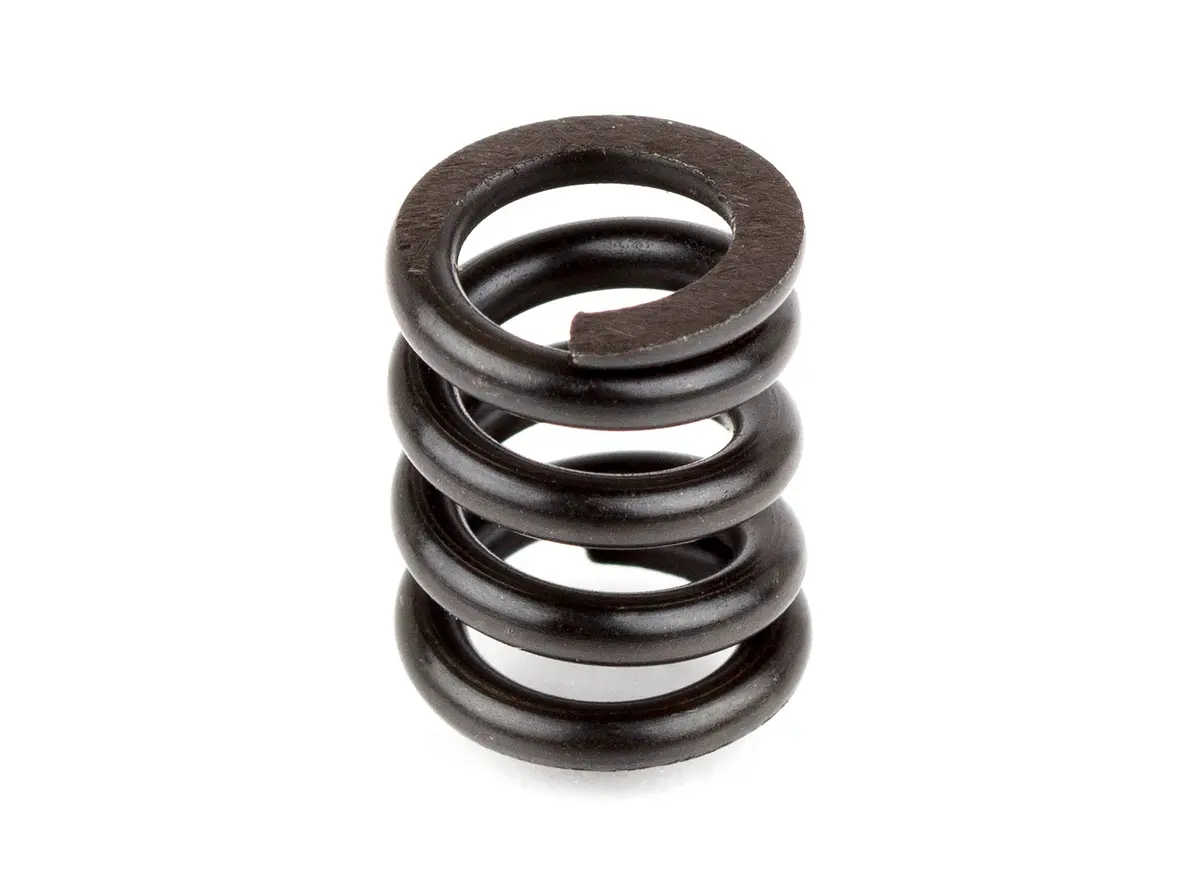 9739 B44 Slipper Spring 1