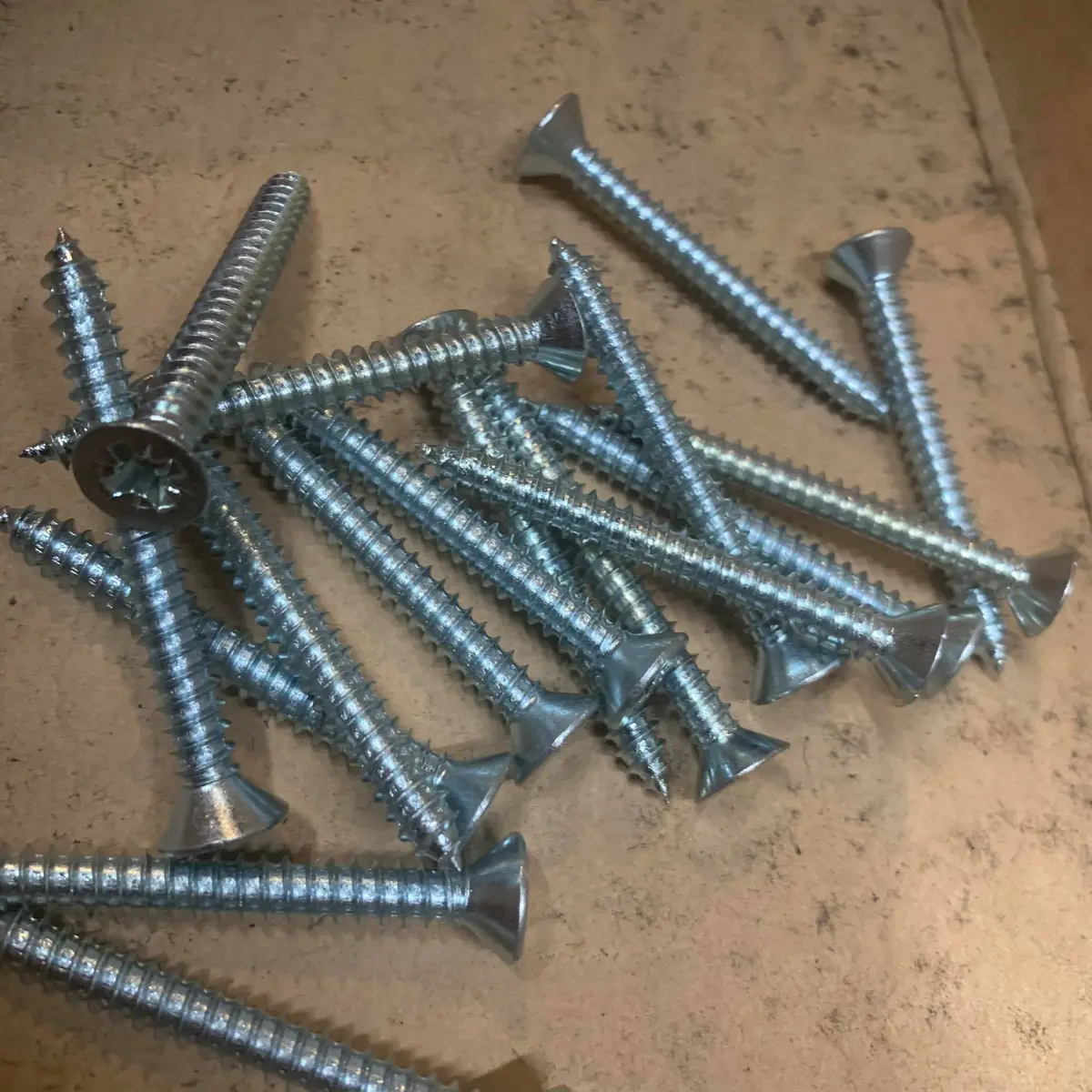 12V Head Light Mount Screws 1