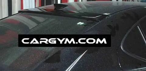 Lexus Is250 Is350 Carlsson Type Carbon Fiber Roof Spoiler 1