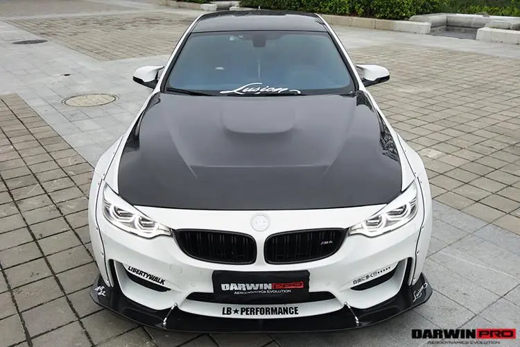 Darwinpro 2014-2019 Bmw M3/M4 Gts Style Hood 1