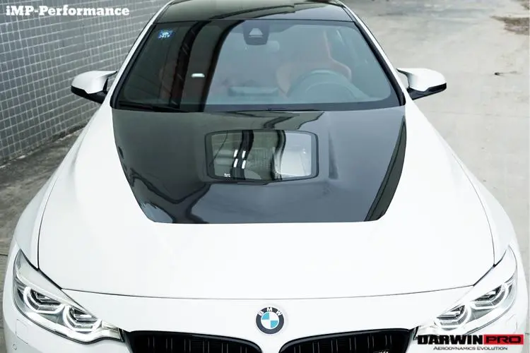 Darwinpro 2014-2019 Bmw M3/M4 Imp Style Hood 1