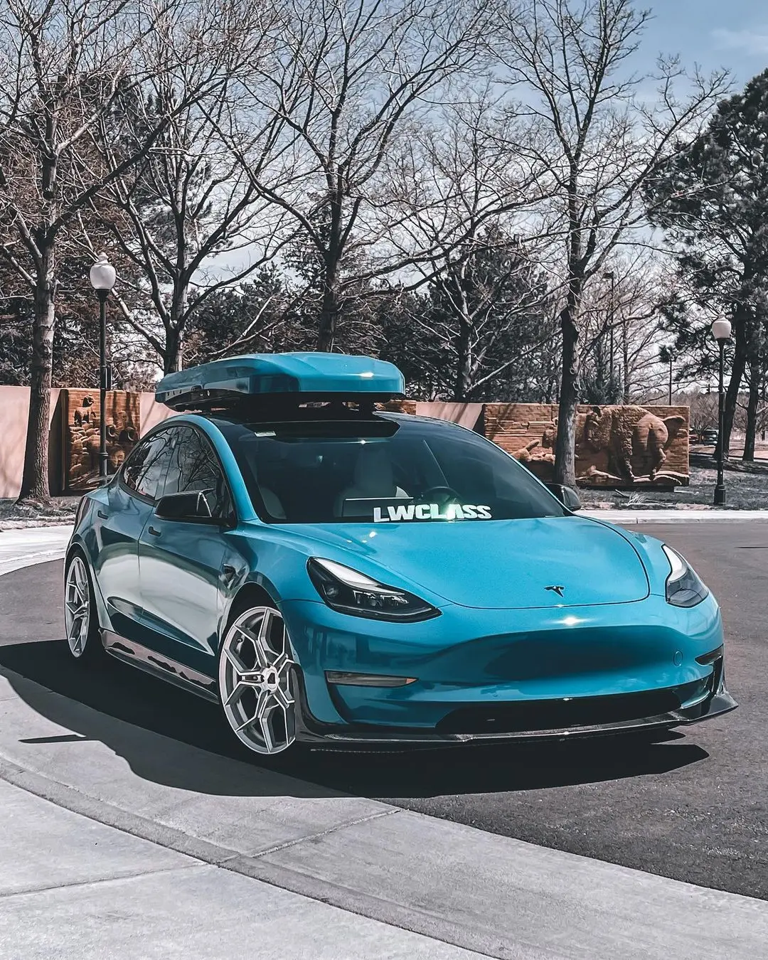 Cmst Tesla Model 3 Ver. 3 Carbon Fiber Side Skirts 1