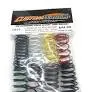 1815 Custom Works Complete Big Bore Spring Set 1