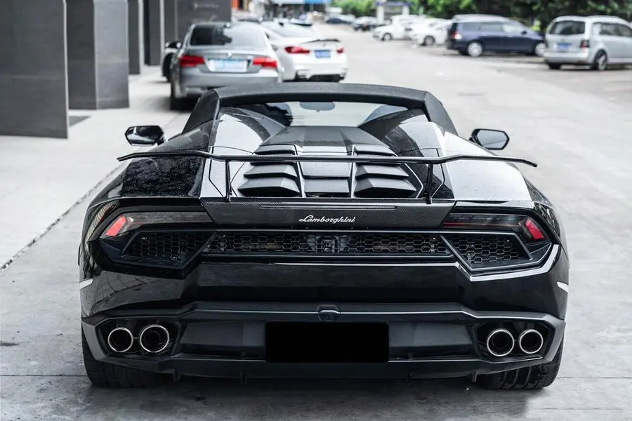 Darwinpro 2015-2020 Lamborghini Huracan Lp580 Oe Style Carbon Rear Bumper Grill 1