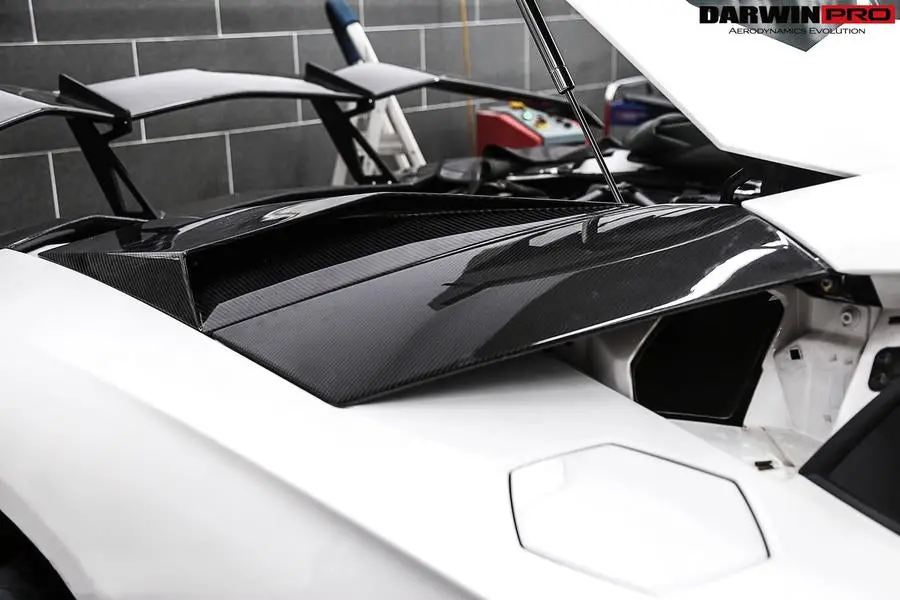 Darwinpro 2011-2016 Lamborghini Aventador Lp700 Coupe Carbon Fiber Rear Intake Panel 1