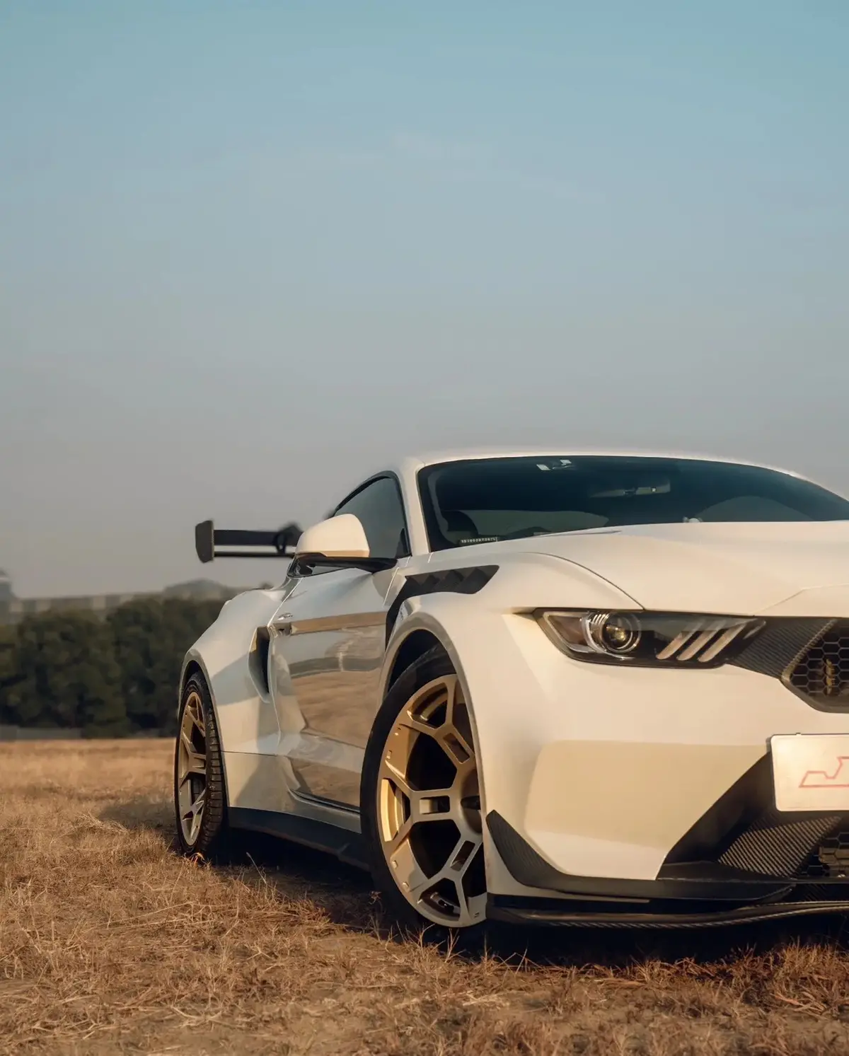 Robot Craftsman Ford Mustang V5 Gtd Widebody Kit For S550.1 & S550.2 7