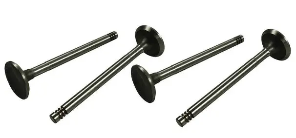 Inlet Valve 31.5Mm X 8Mm - Beetle/Ghia/Kombi 1961 To 1979 1