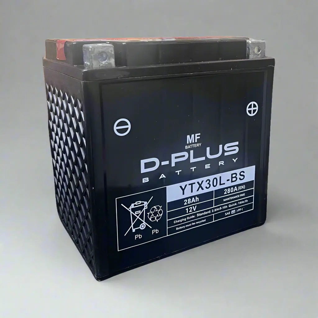 Battery Ytx30l-Bs D-Plus 1