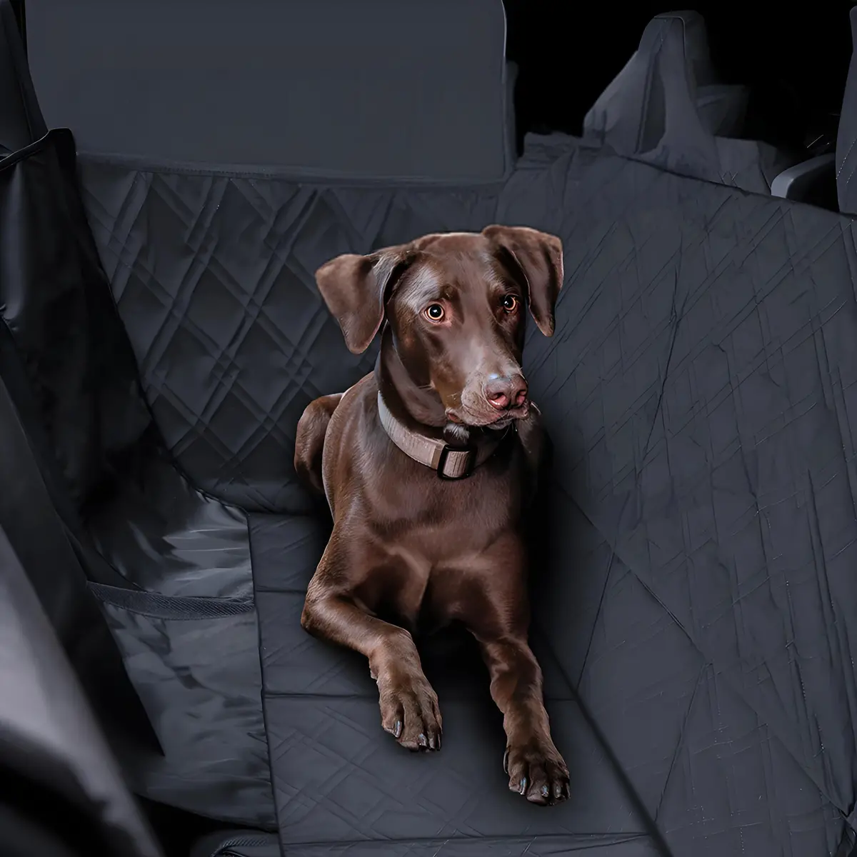 Full-Cover Rear Dog Seat Cover For Cybertruck 1