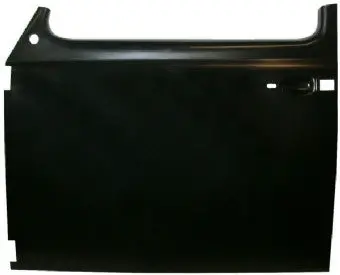 Door Skin, Beetle 1