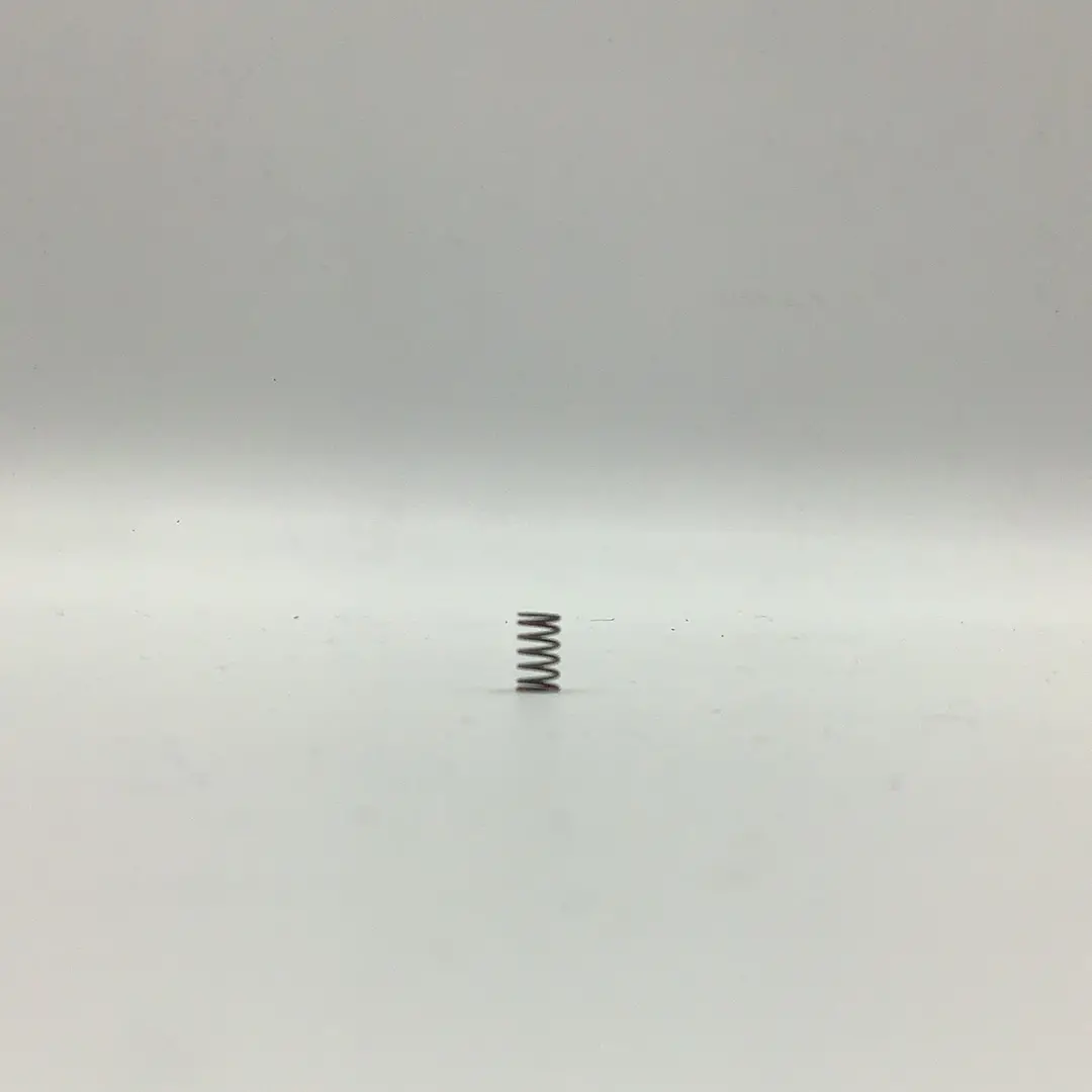 Rudis 70028 Front Springs 1