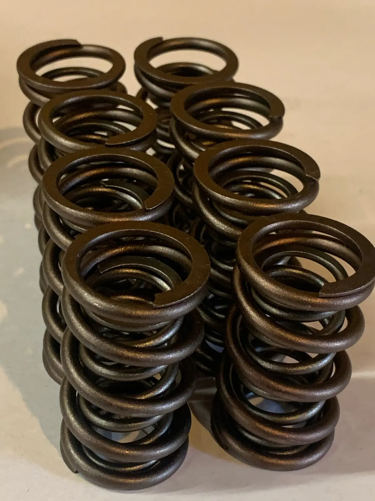 Engle Dual Valve Springs 1