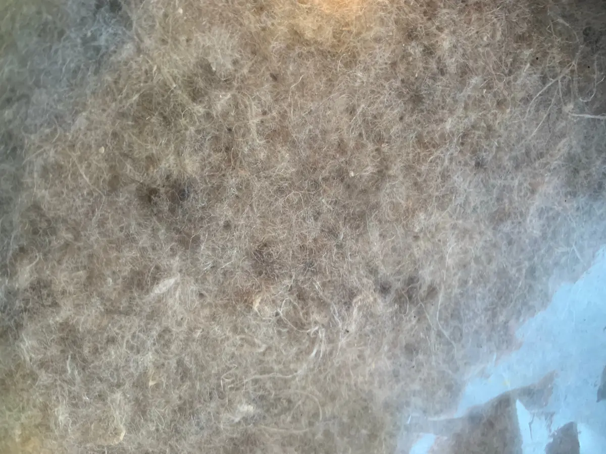 Underfelt - Large 1
