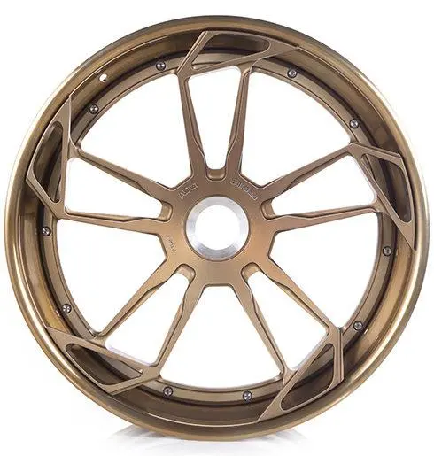 Adv.1 Adv5.3 Track Spec Forged 1