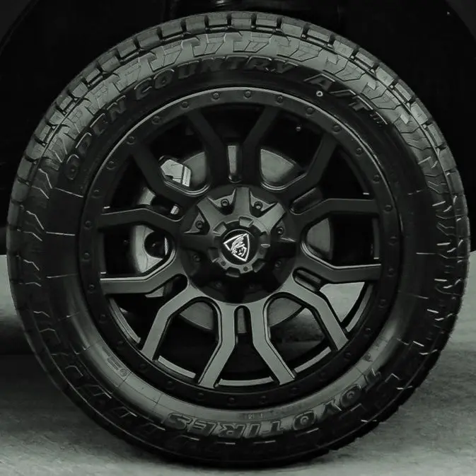 20" Predator Panthera Alloy Fr-Mb 1