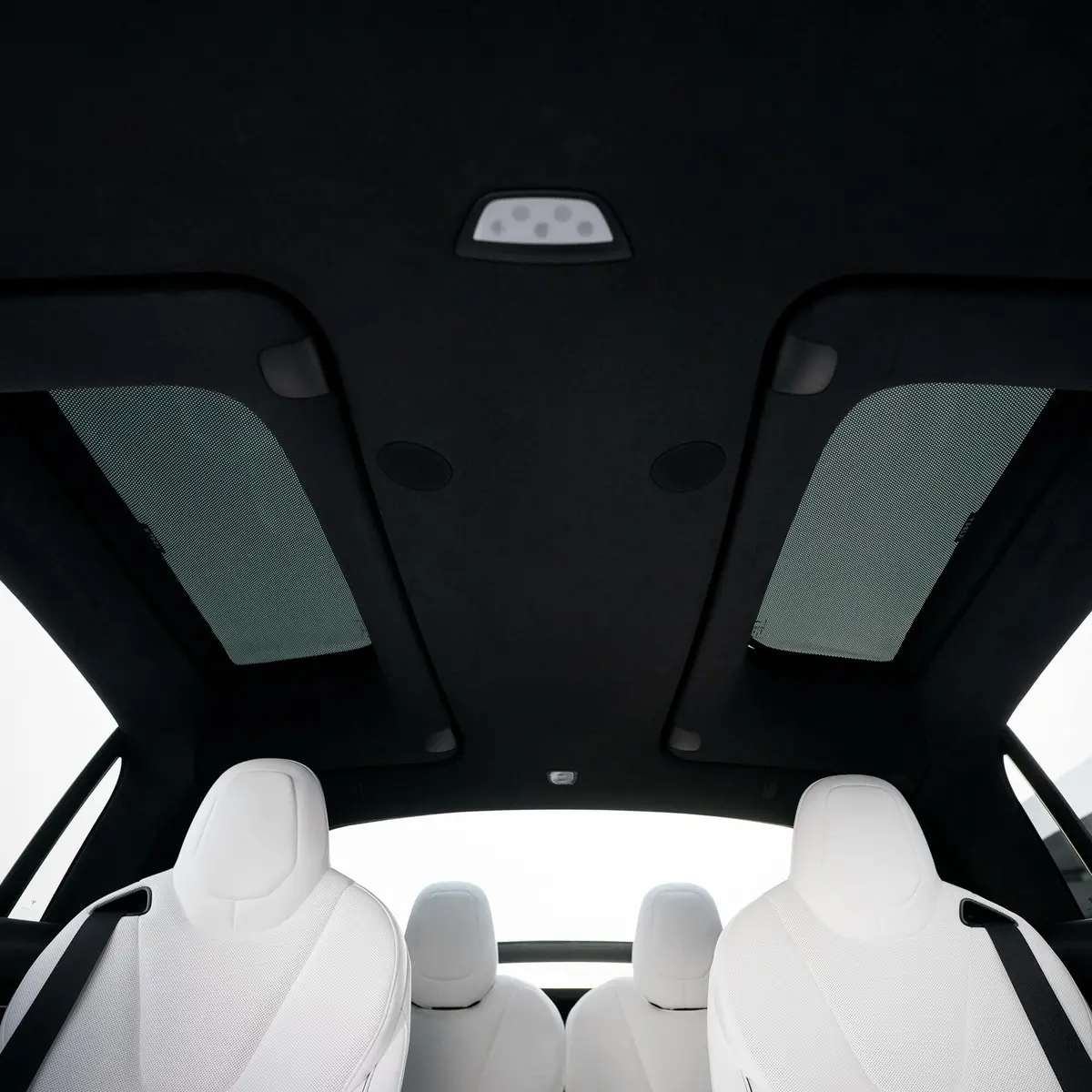 Side Car Window Sunroof Sunshades For Model X 1