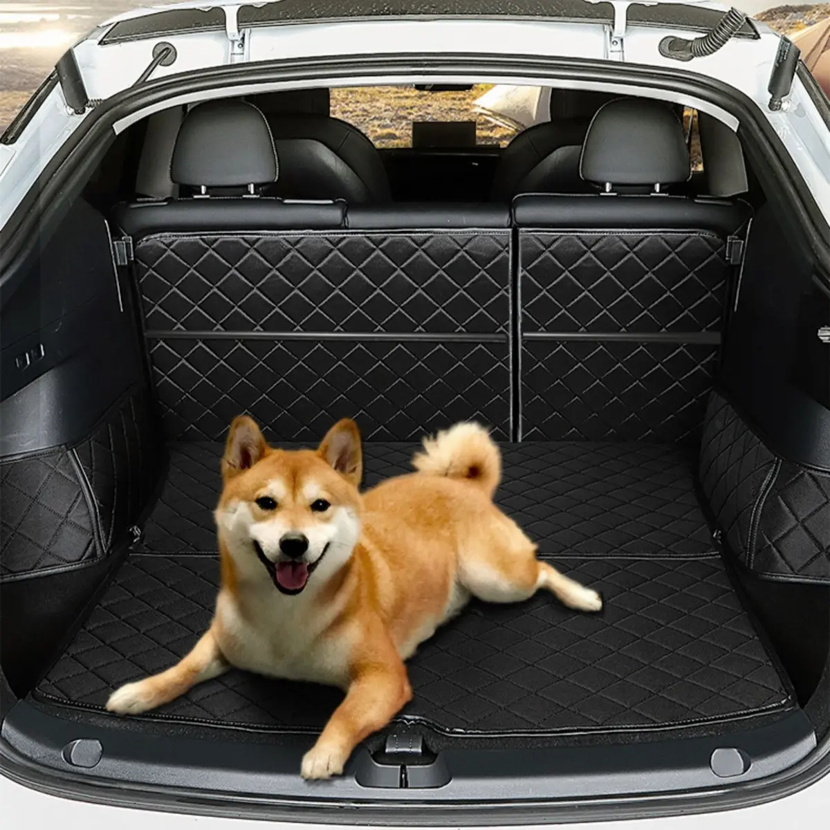 Trunk Mat Waterproof Car Dog Cover For Model Y | Tesery 1